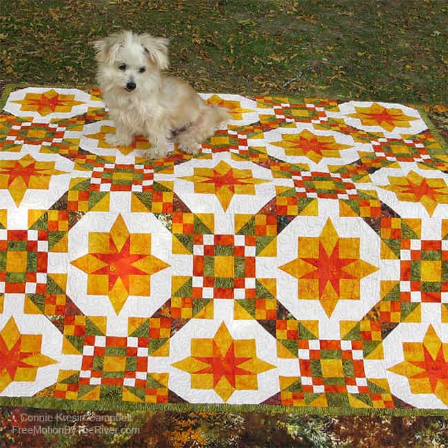 Golden Sunset quilt with Sadie sitting on it