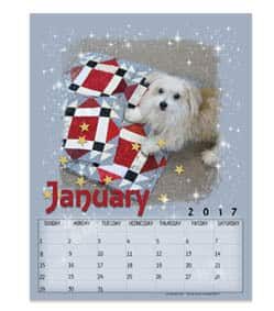 January 2017 Free Printable Calendars