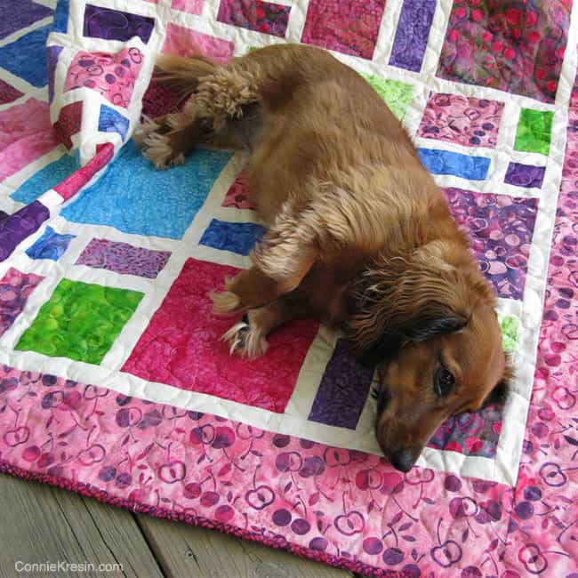 Tasha on quilted Scattered quilt