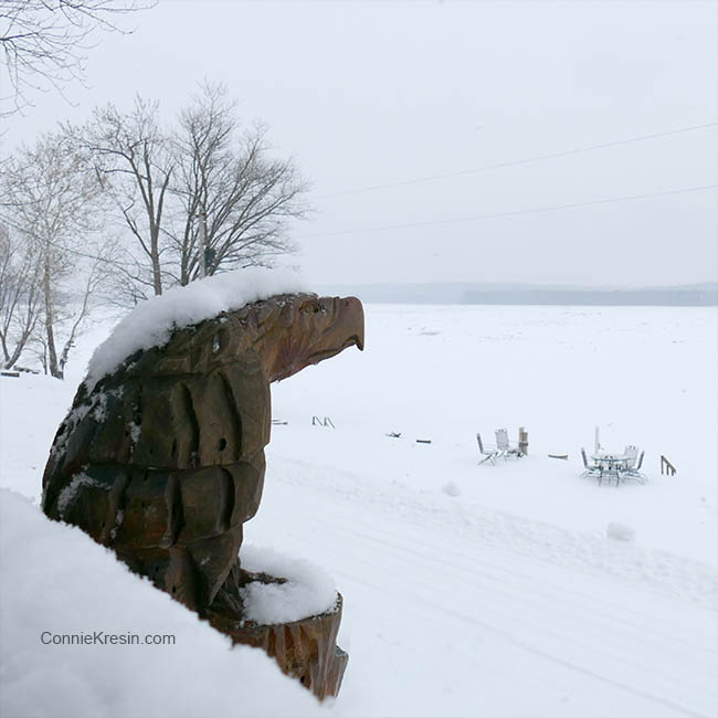 Iggy the wood eagle covered with snow
