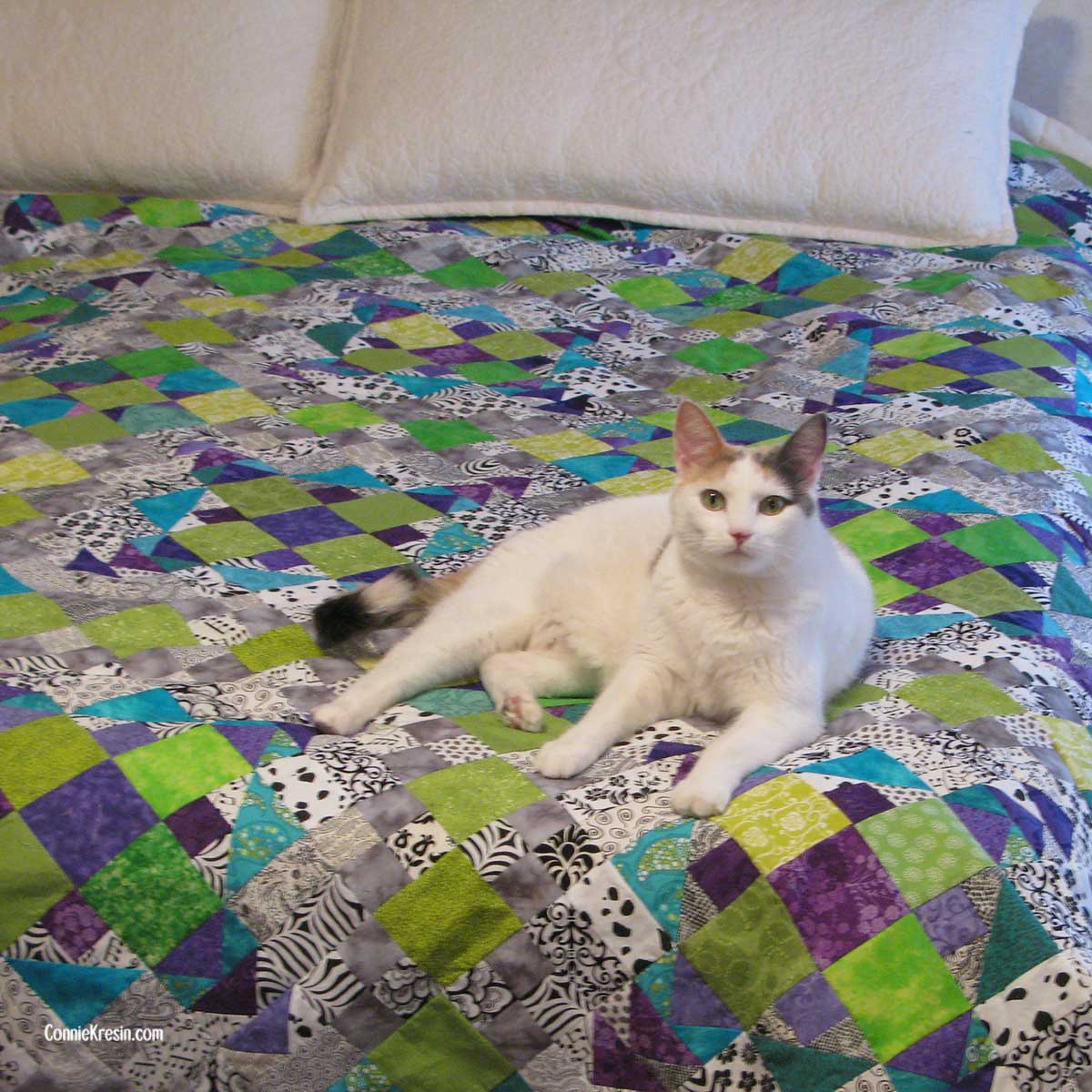 Cat on the Easy Street Quilt