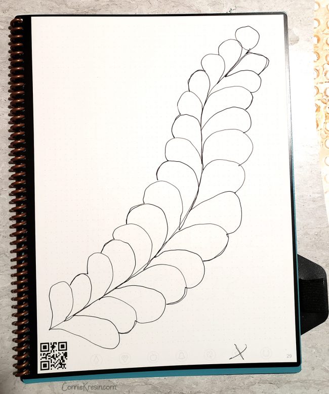 Feathers in RocketBook