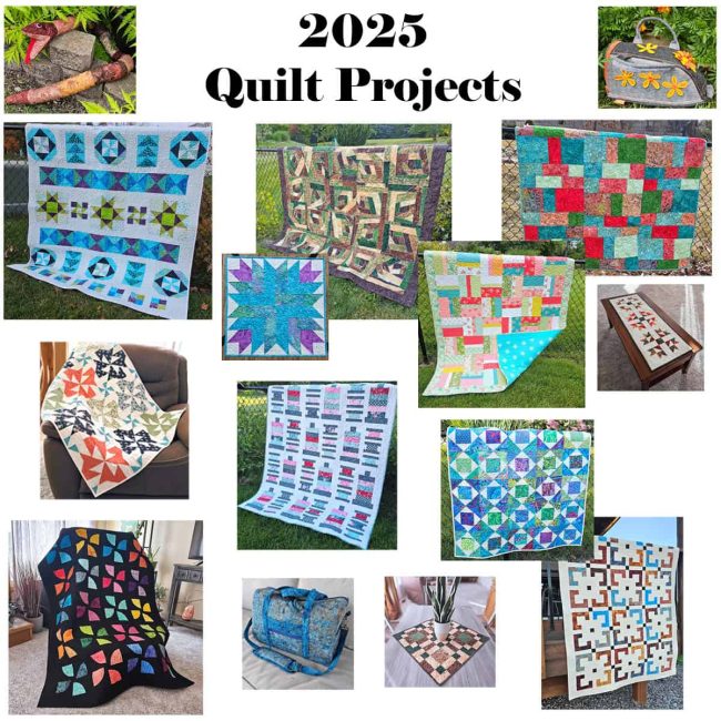 Project Quiltworks Quilt Projects of 2025 - Freemotion by the River