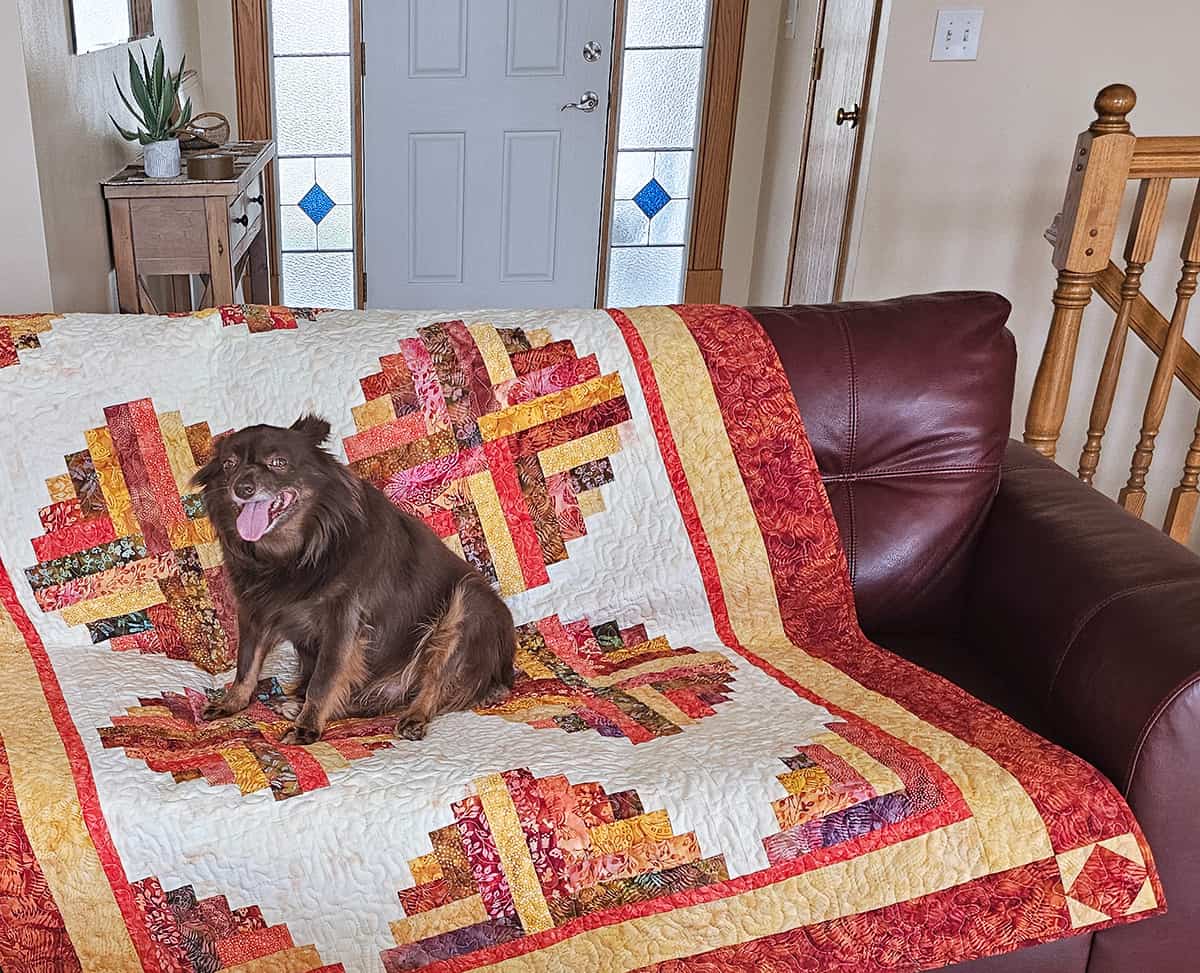 Rusty approves of the quilt