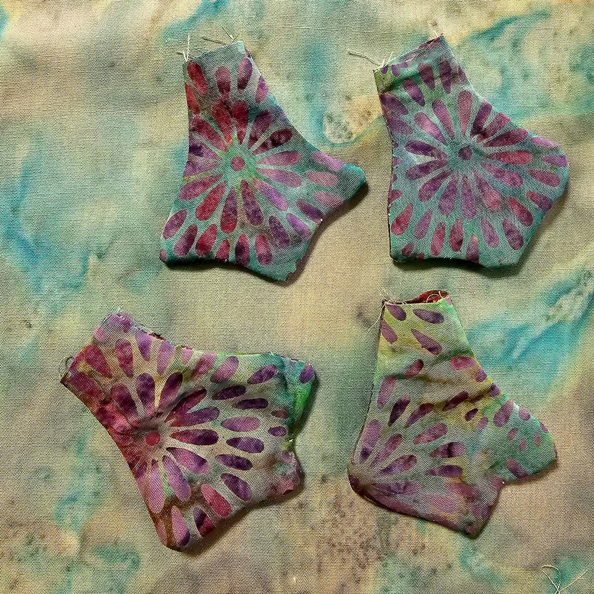 The feet of the Platypus