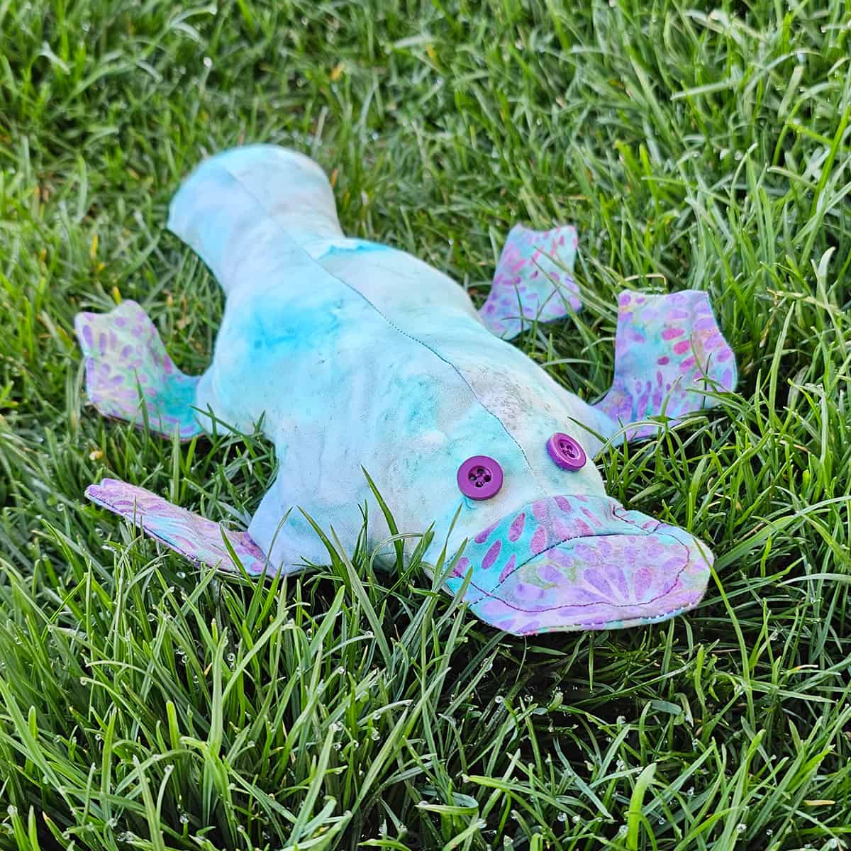 Plattie Platypus in the grass
