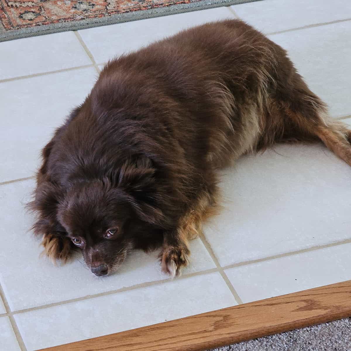 Rusty