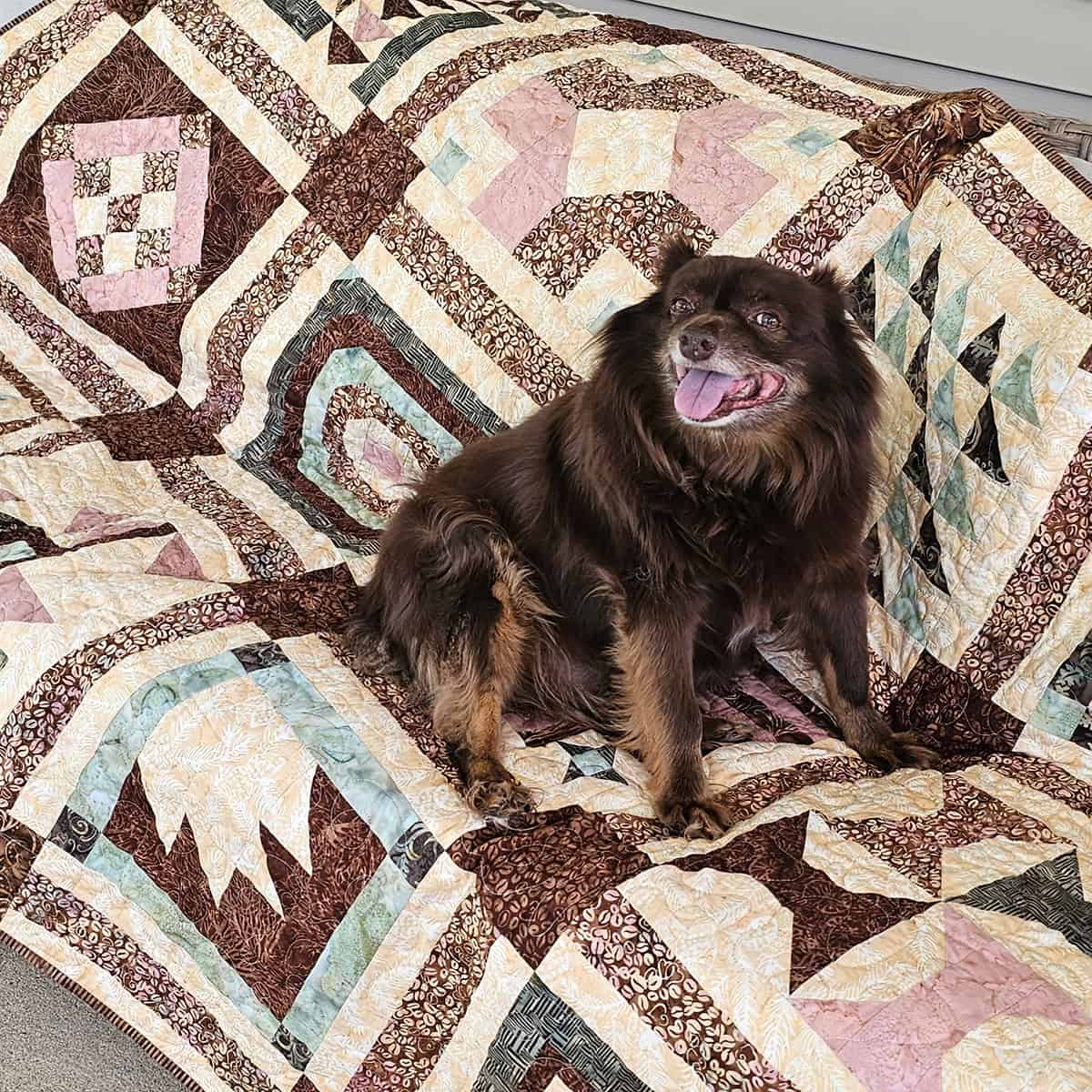 Rusty on quilt