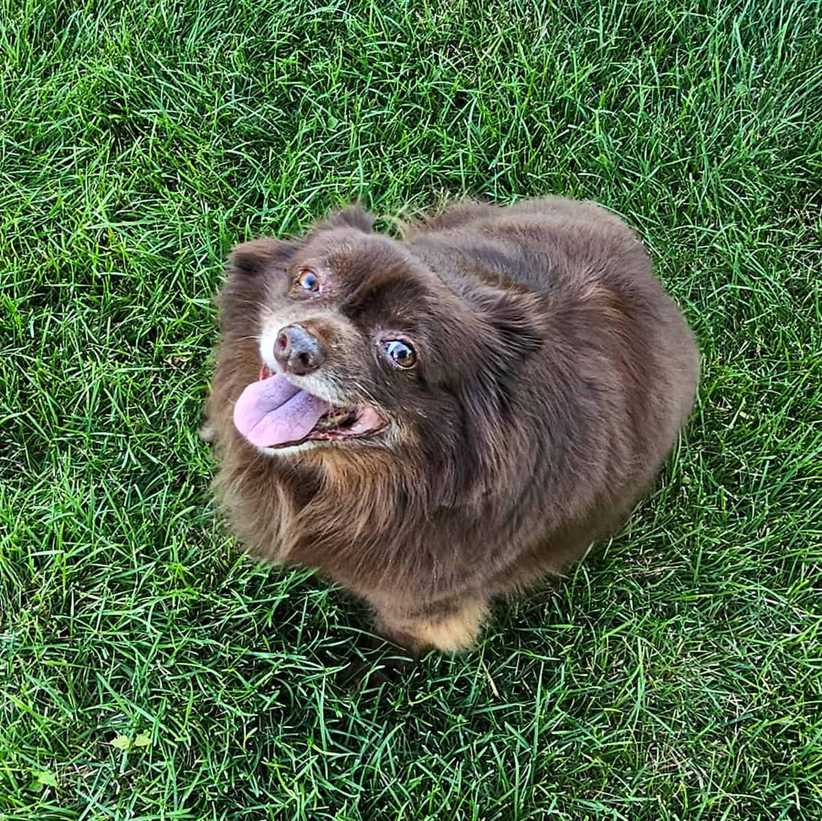 Rusty