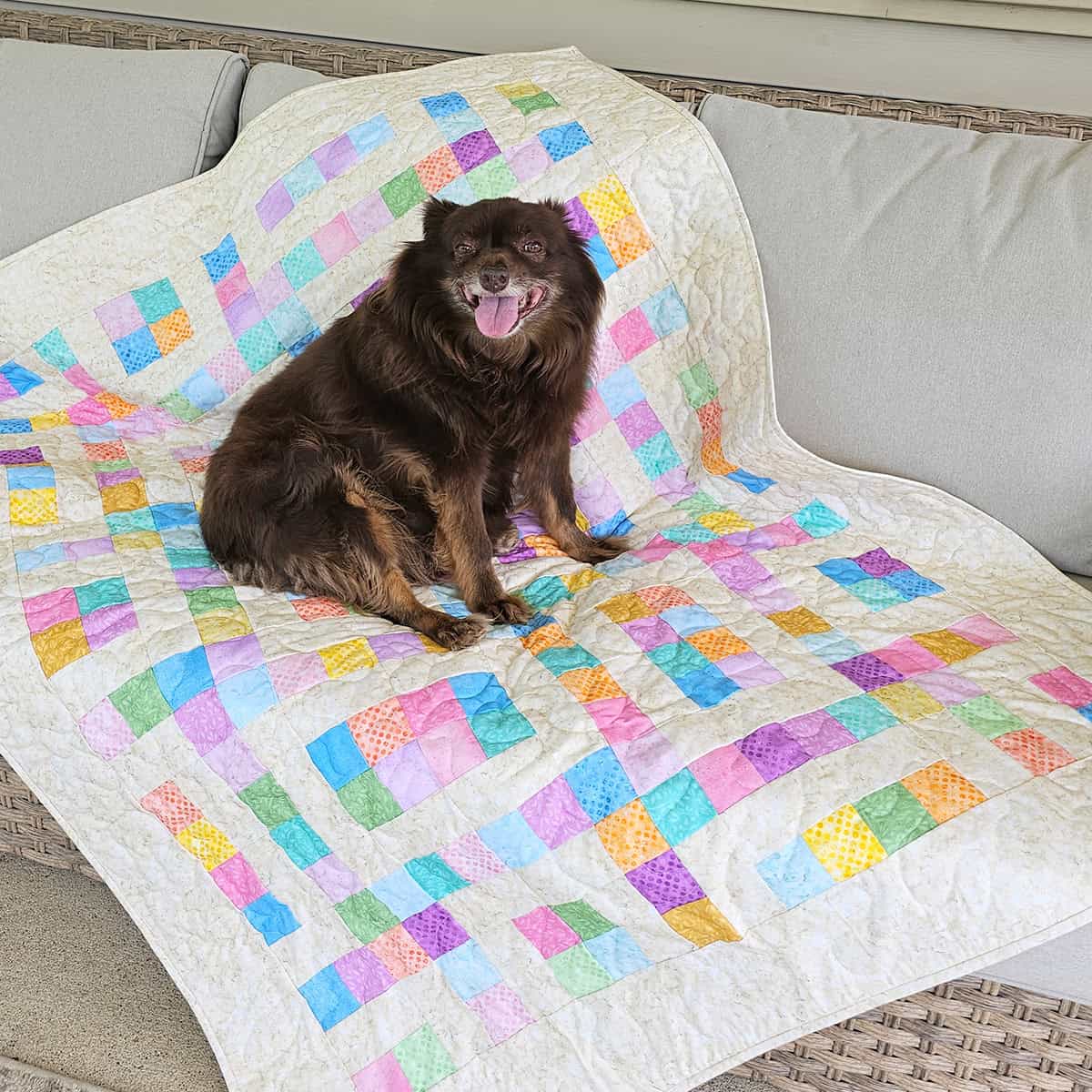 Rusty on quilt