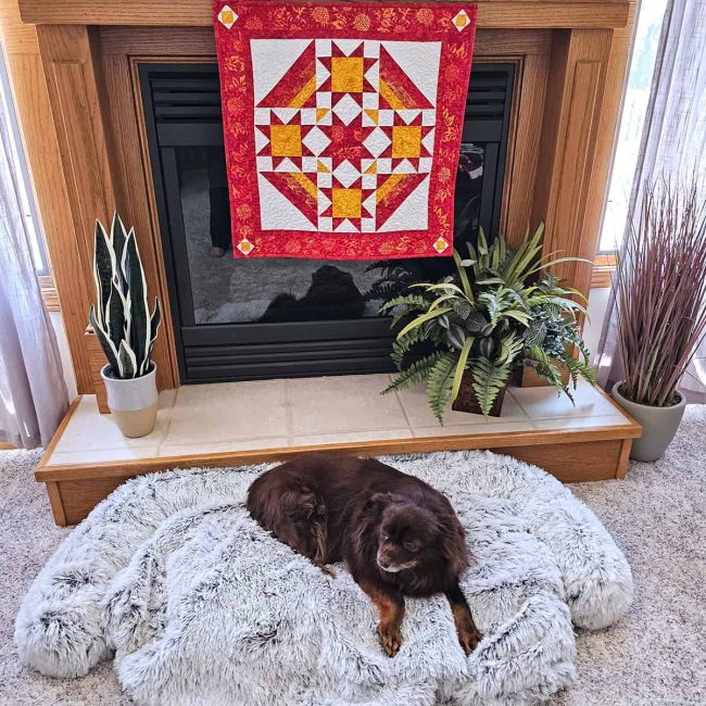 Dogs on quilts