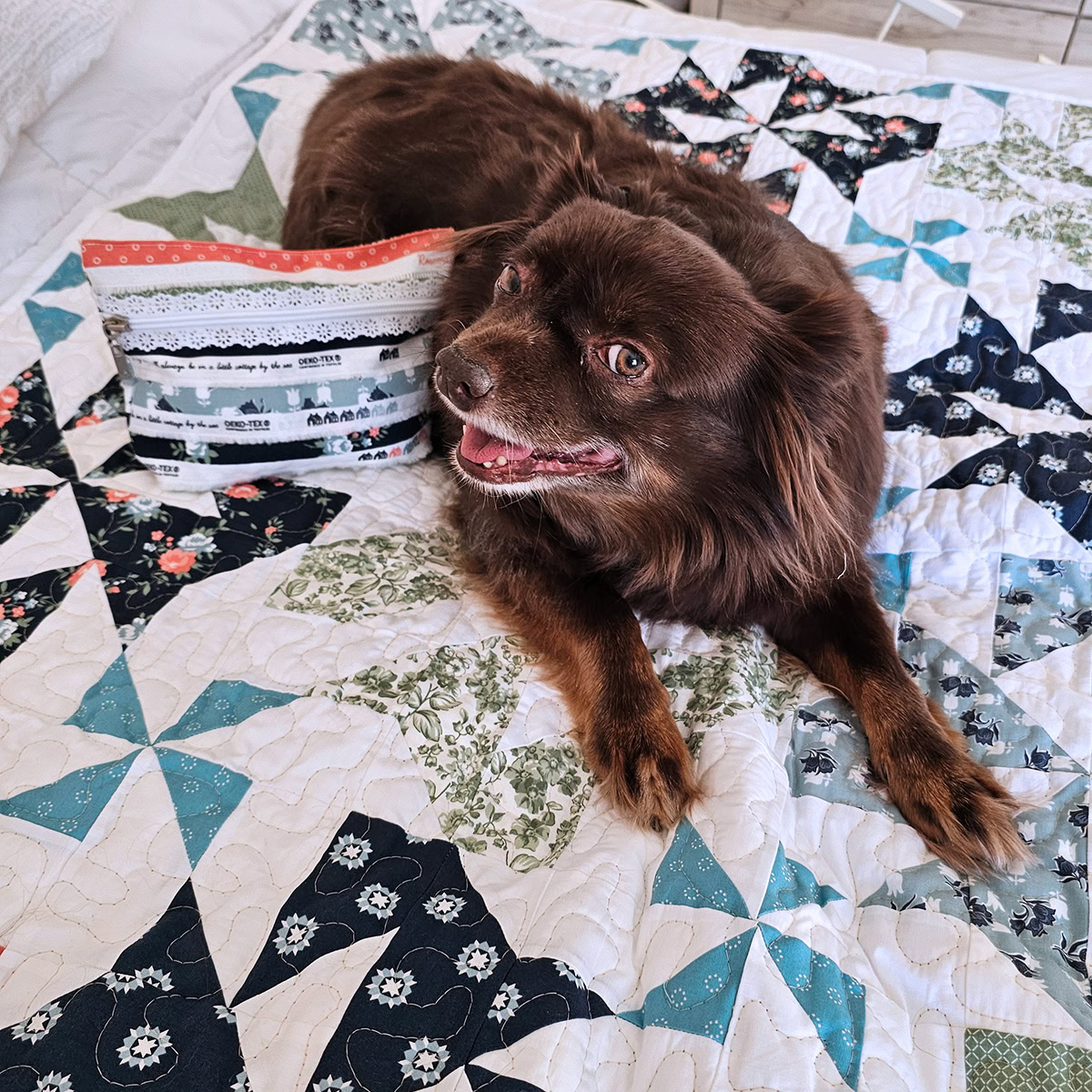 Rusty and the quilt