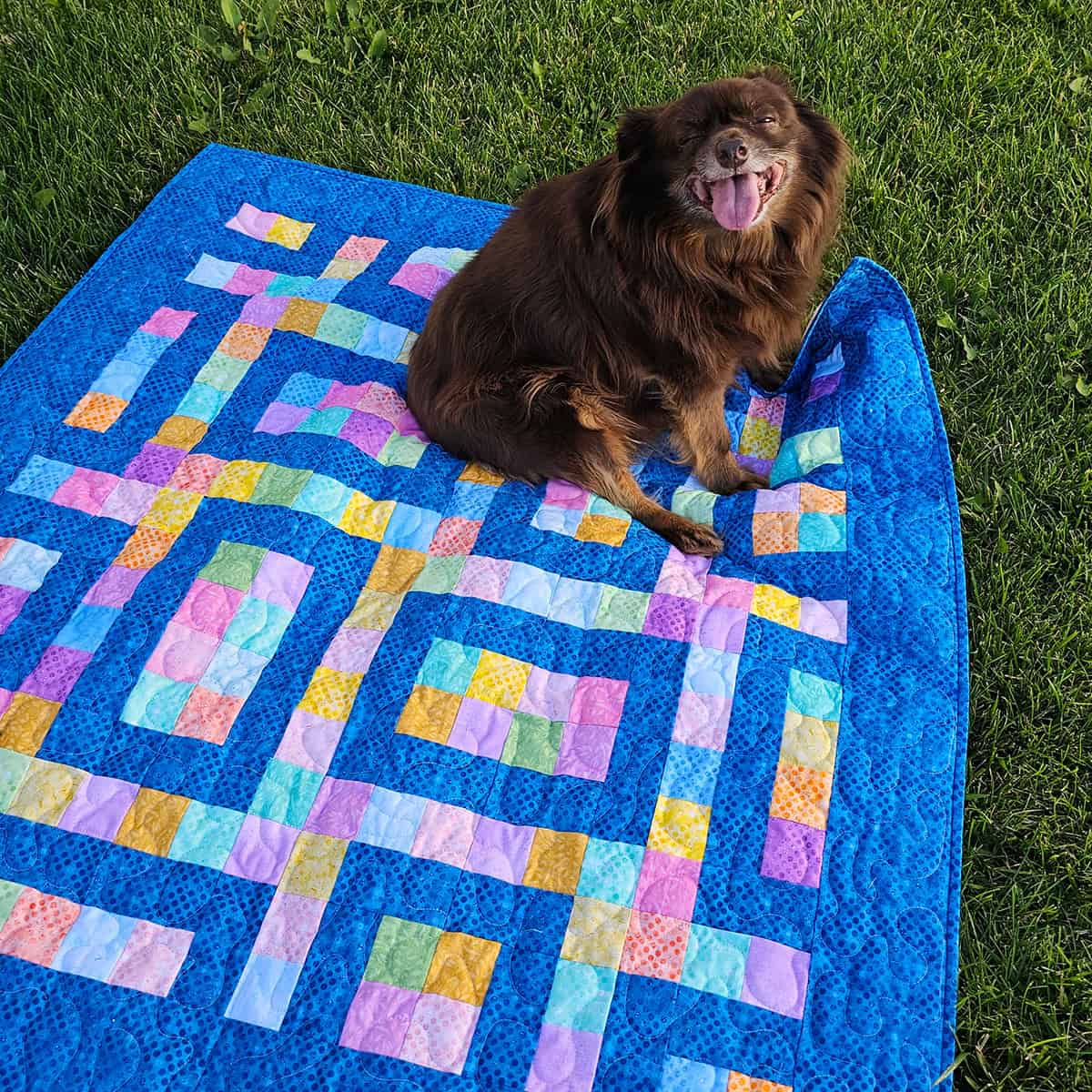 Rusty on the quilt