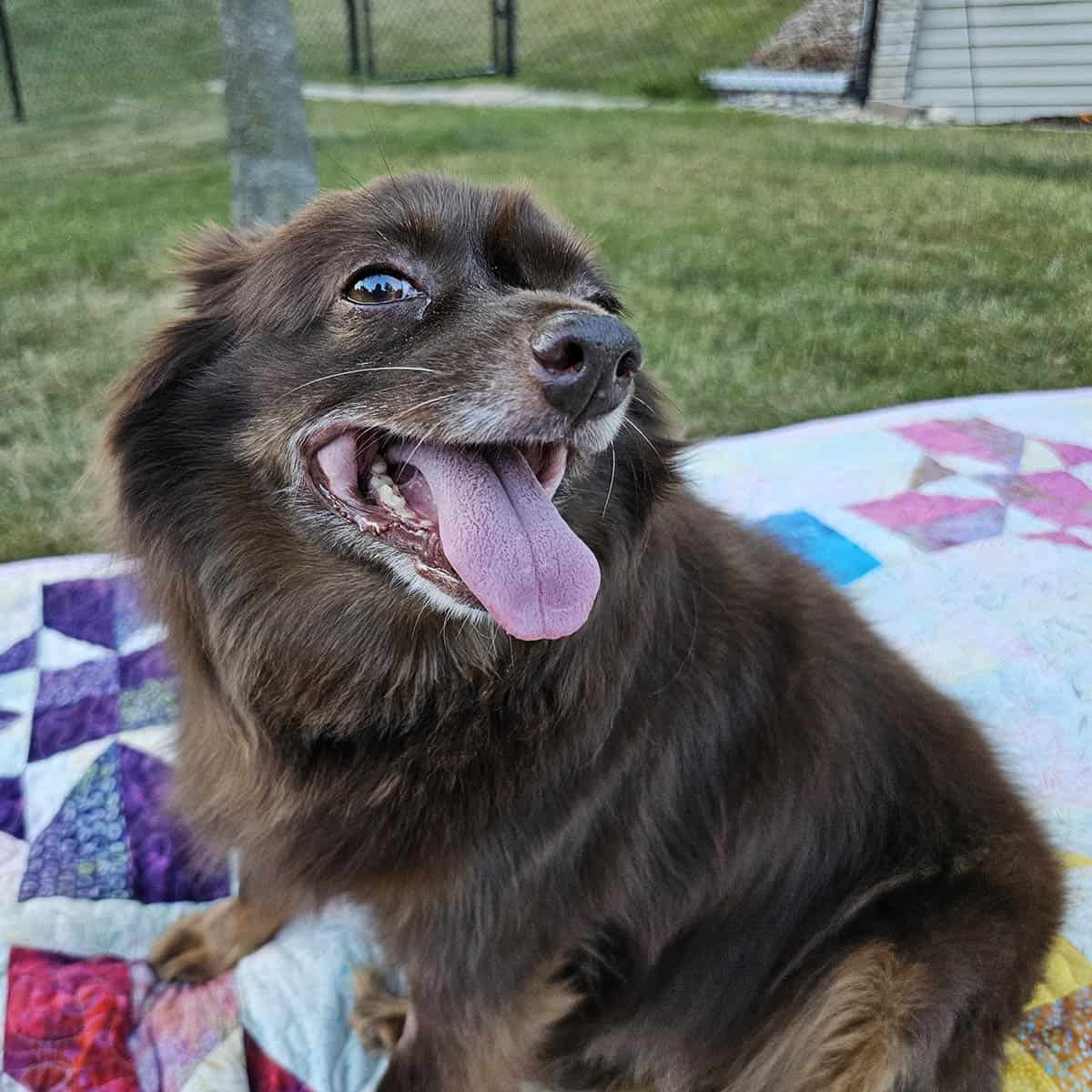 Closeup of Rusty