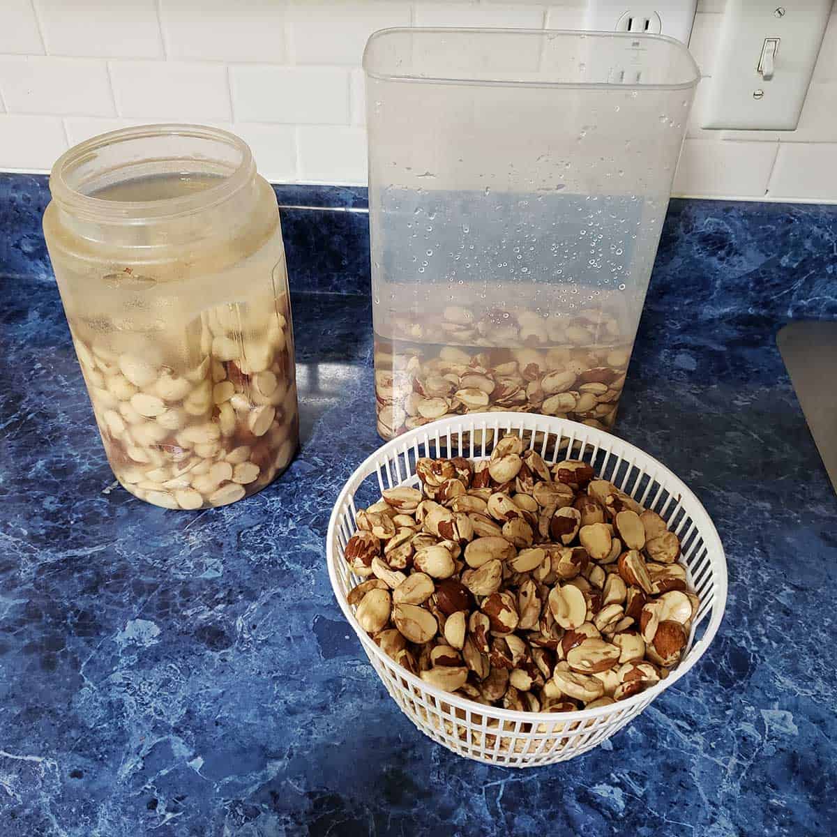 Soaking the acorn nuts in water for 5 days