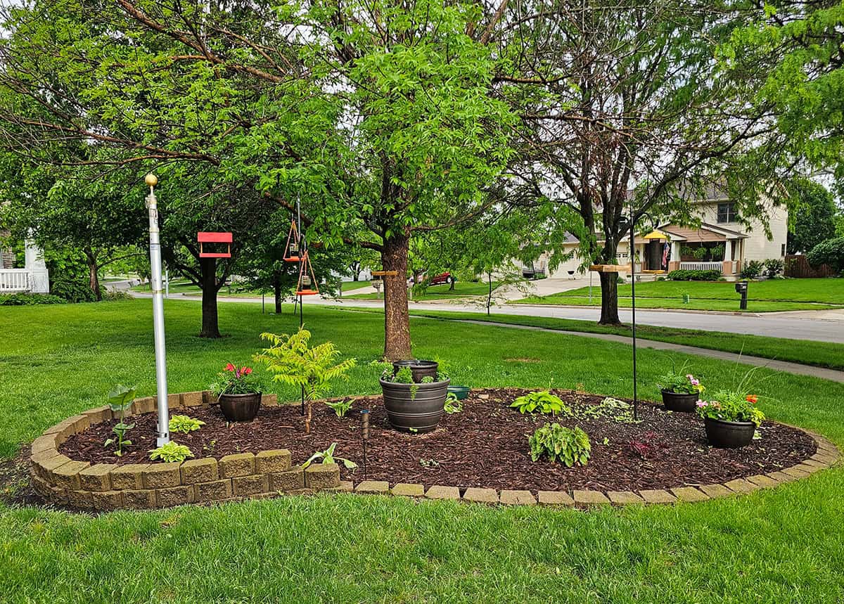 My flower bed in the front yard