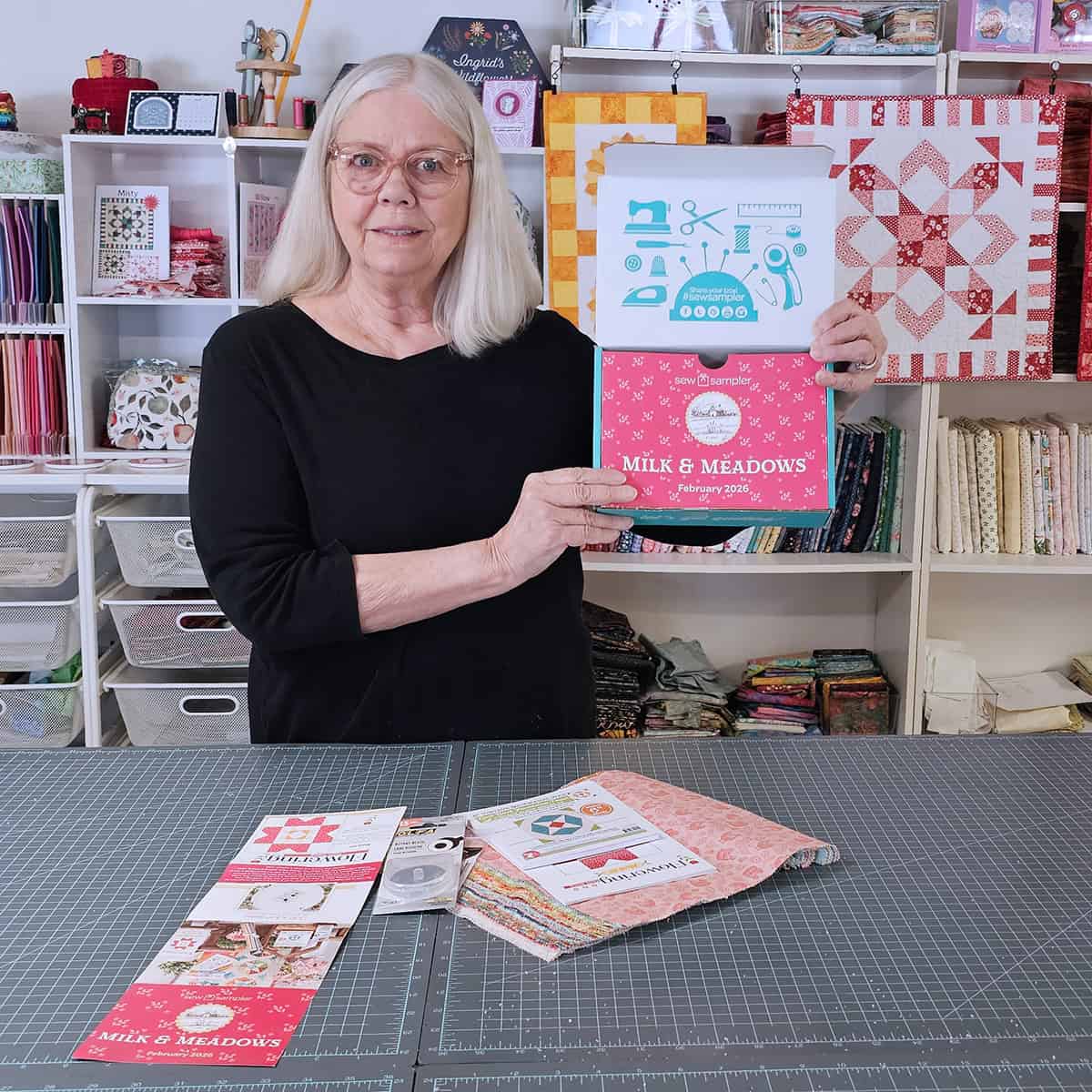 February Sew Sampler