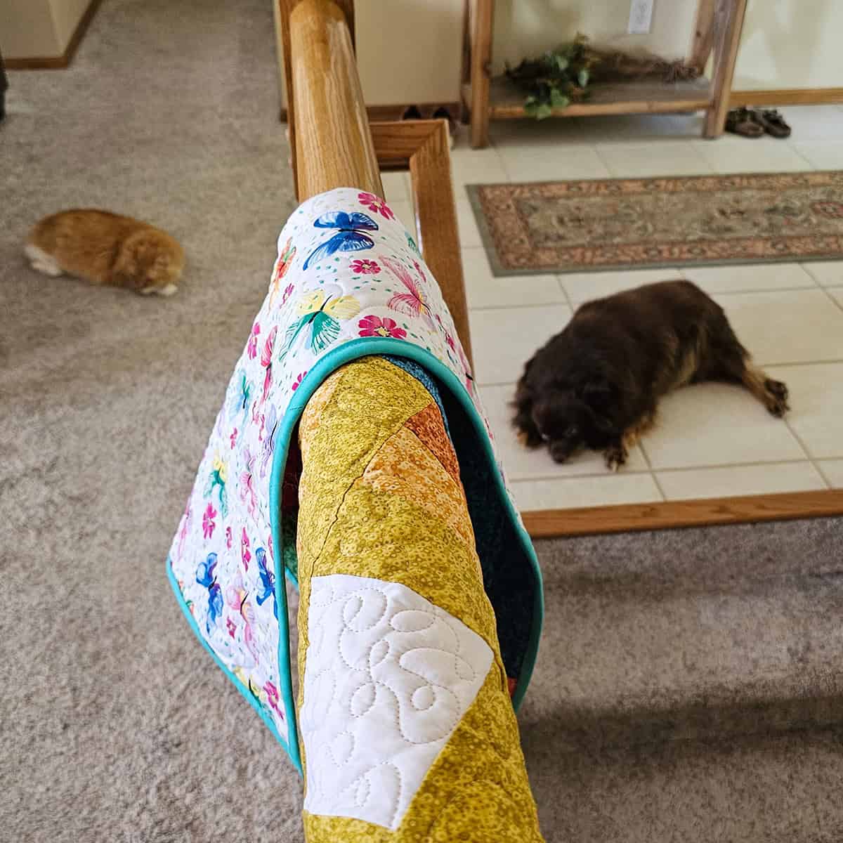 Rusty the dog and Mr. Puff the cat