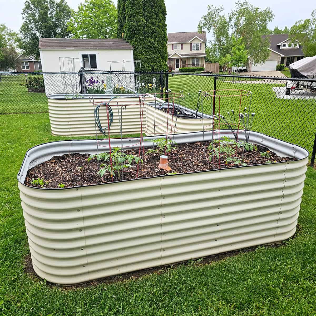 Raised beds