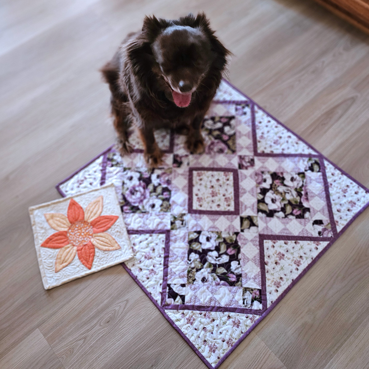 Rusty with the quilt projects