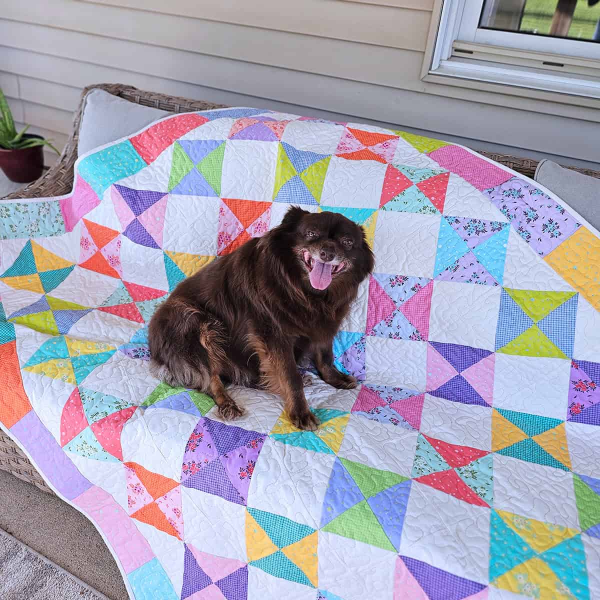 Rusty on quilt