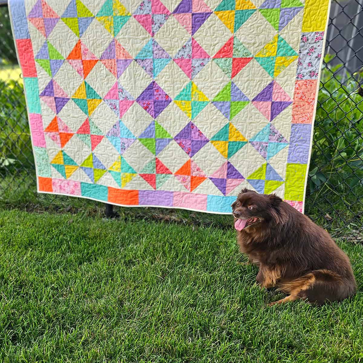 Rusty and quilt