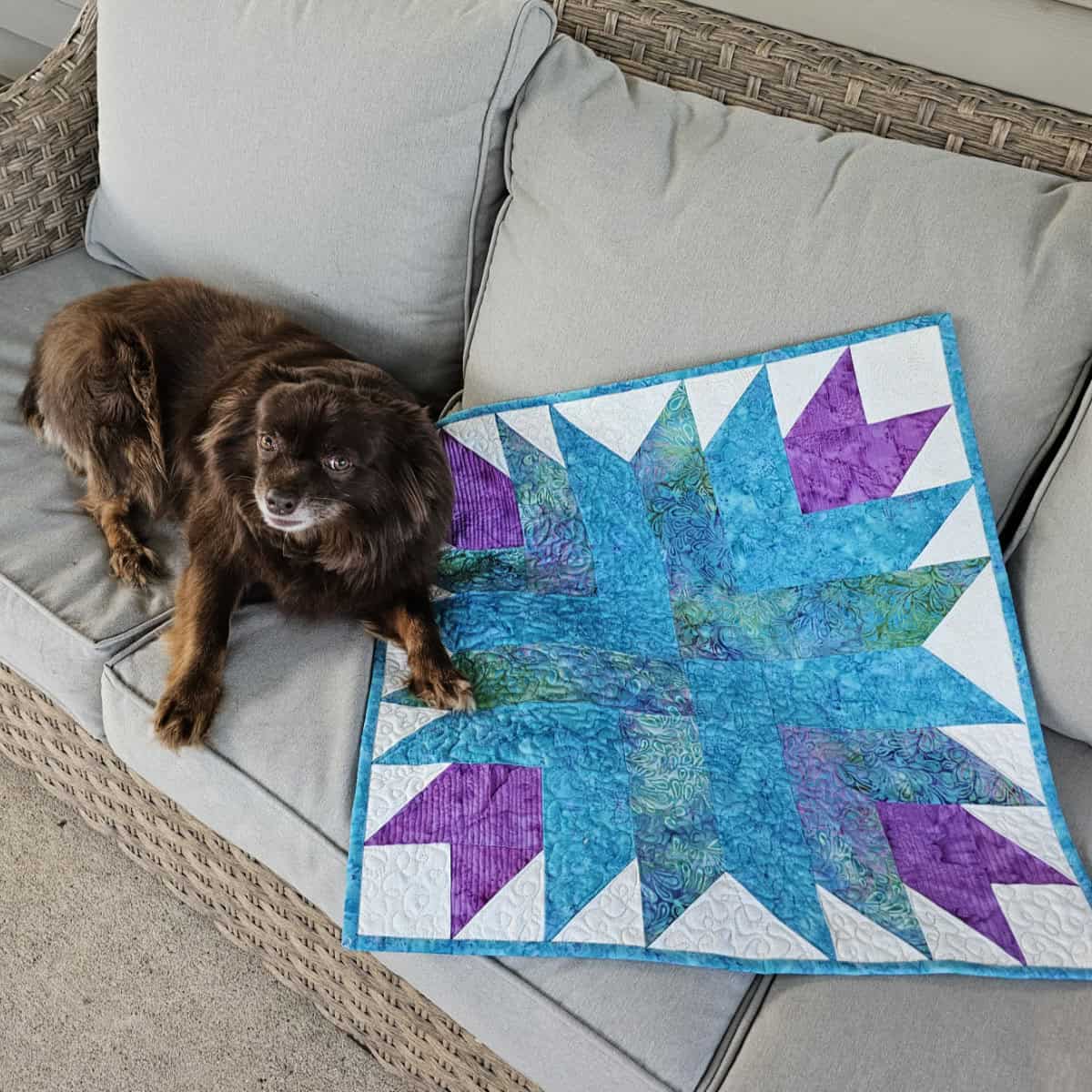 Rusty with quilt