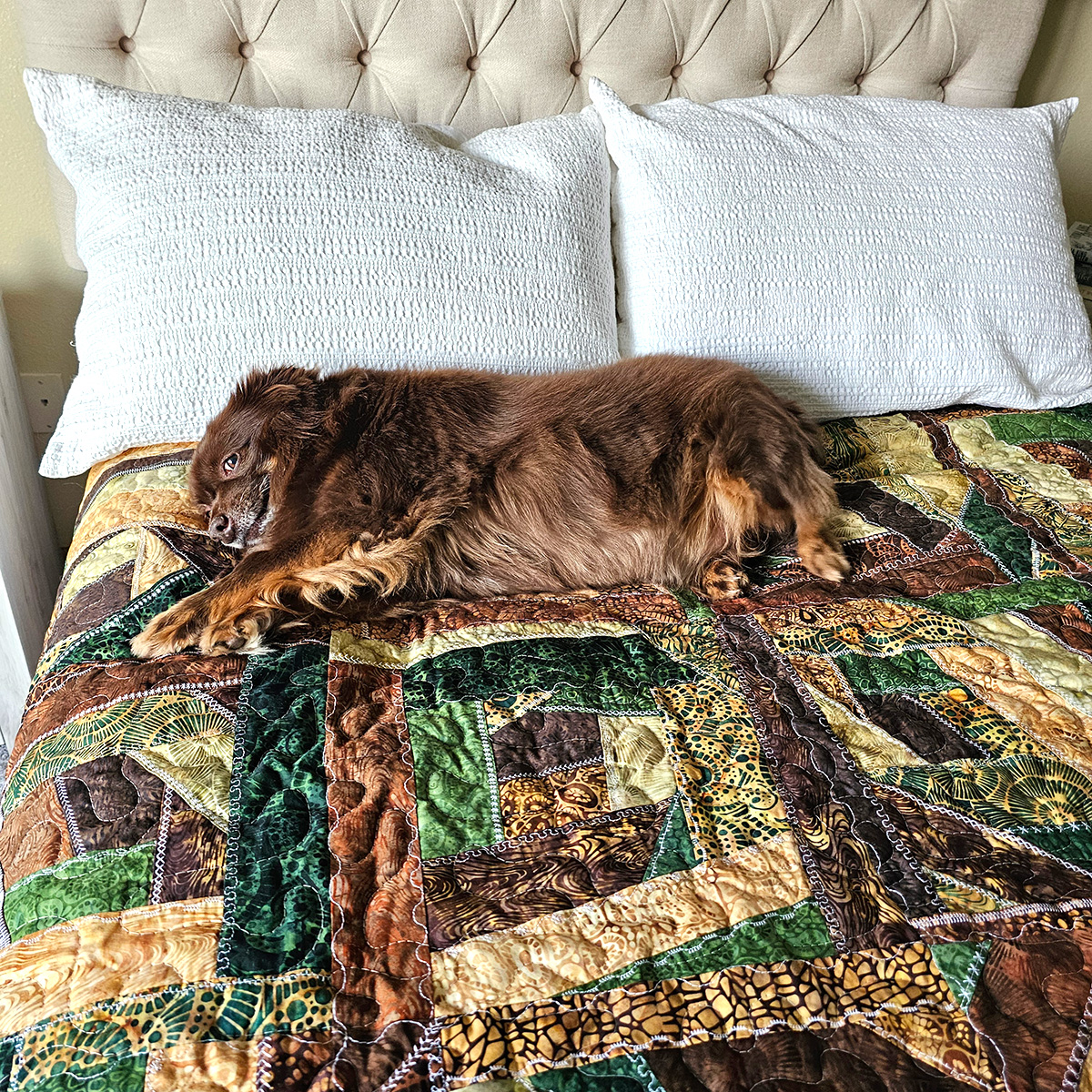 Rusty and a giveaway