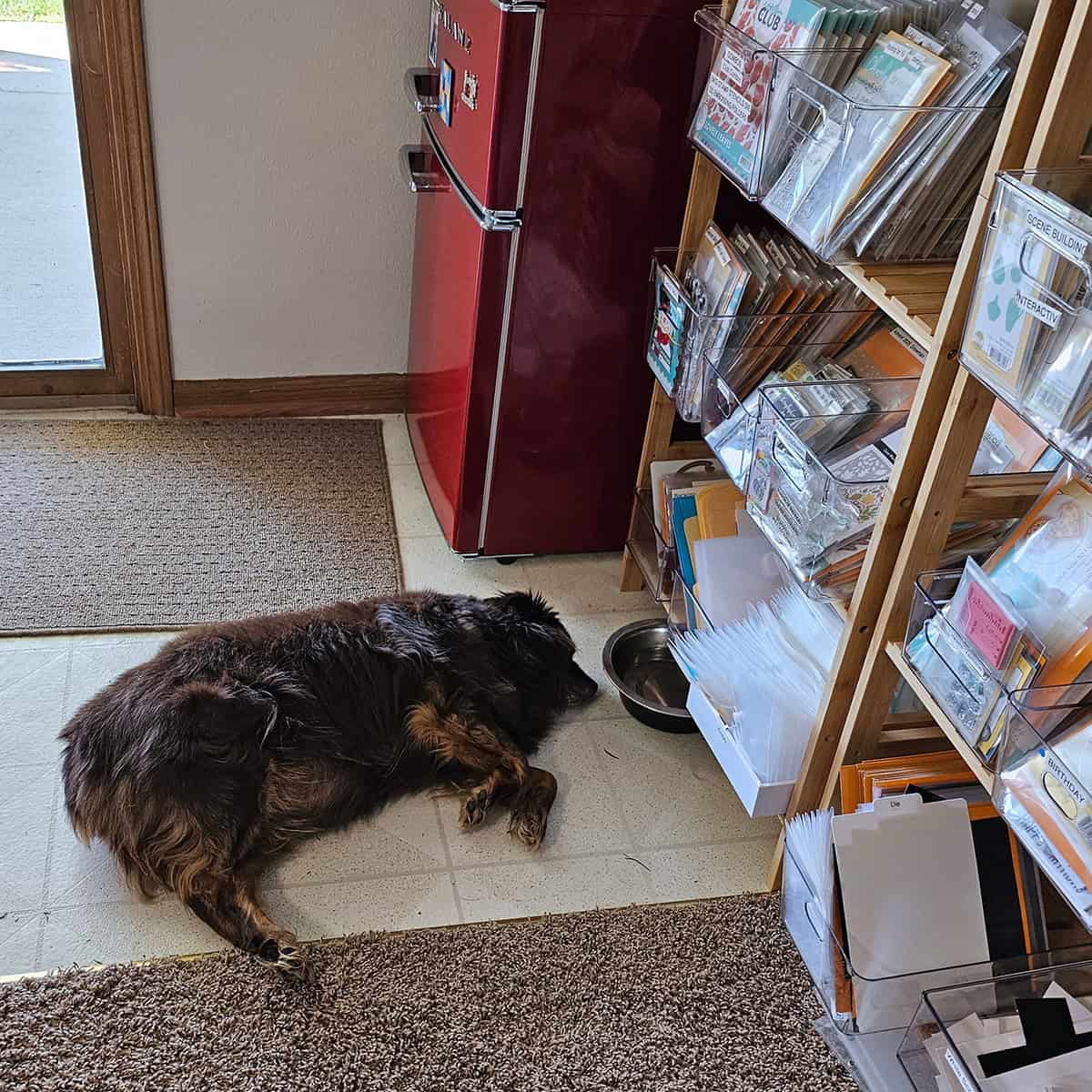 Rusty sleeping