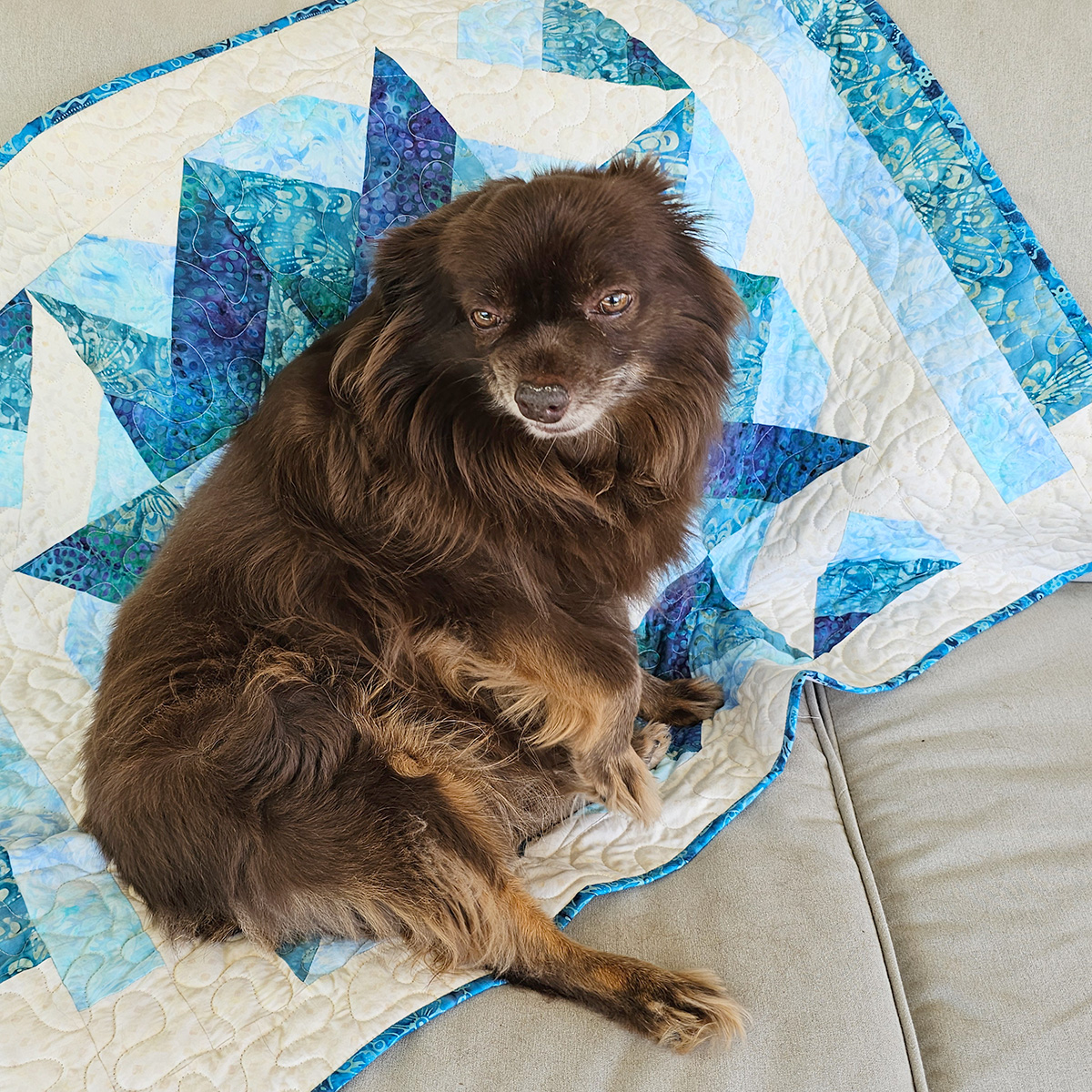 Rusty on the baby quilt